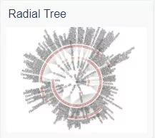echart_radial tree